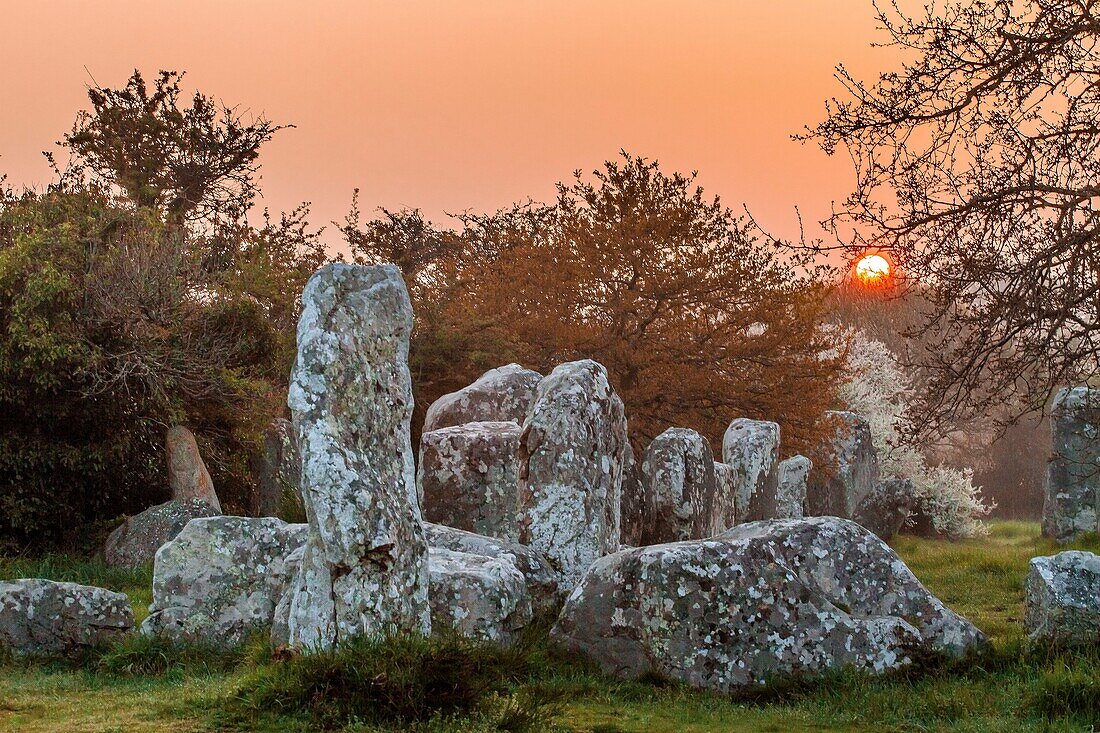 France, Morbihan, Erdeven, the alignments of Kerzerho at sunrise\n