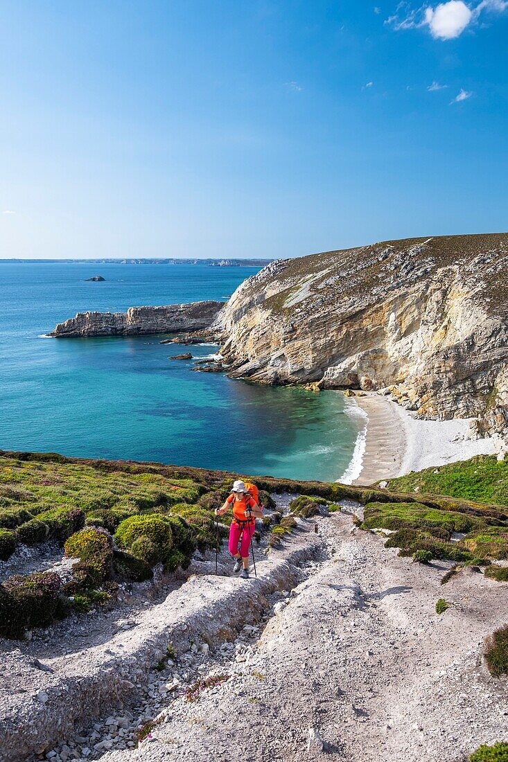 Frankreich, Finistere, Regionaler Naturpark Armorica, Halbinsel Crozon, Crozon, Wanderweg GR 34 oder Zollweg, Cap de la Chèvre, Pointe de Kerroux