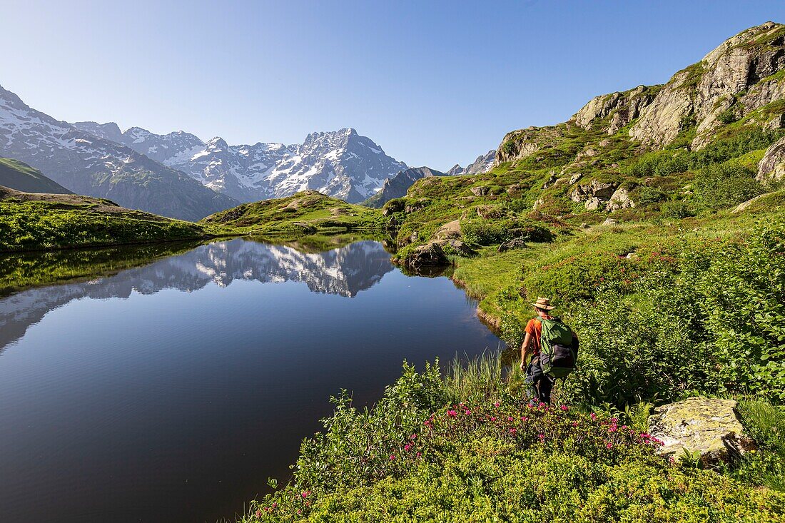 France, Hautes Alpes, national park of Ecrins, valley of Valgaudemar, La Chapelle en Valgaudemar, reflection of Sirac (3441m) on the lake of Lauzon (2008m)\n