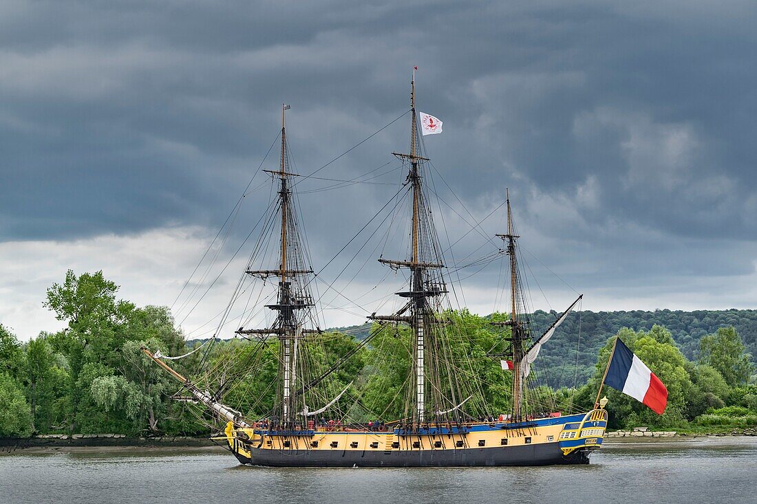 France, Seine Maritime, Rouen Armada, the Armada of Rouen 2019 on the Seine, the frigate Hermione, ship, which, in 1780, allowed La Fayette to join the American insurgents in fight for their independence\n