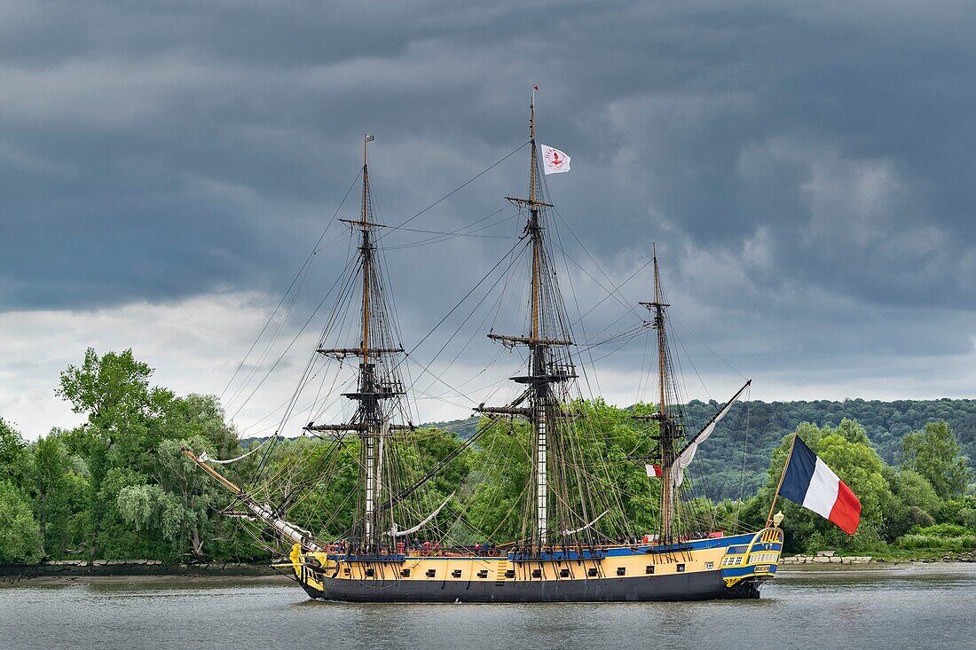 Frankreich, Seine Maritime, Armada von Rouen, die Armada von Rouen 2019 auf der Seine, die Fregatte Hermione, Schiff, das 1780 La Fayette erlaubte, sich den amerikanischen Aufständischen im Kampf für ihre Unabhängigkeit anzuschließen