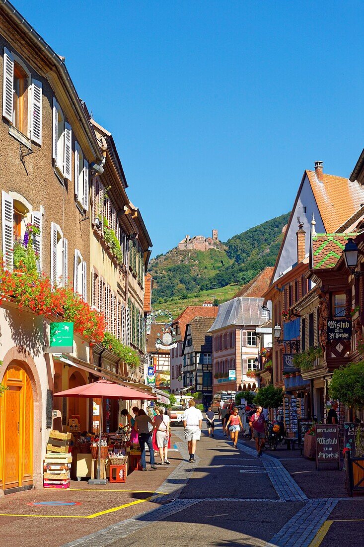 France, Haut Rhin, the Alsace Wine Route, Ribeauville, Grand Rue and St Ulrich castle.\n