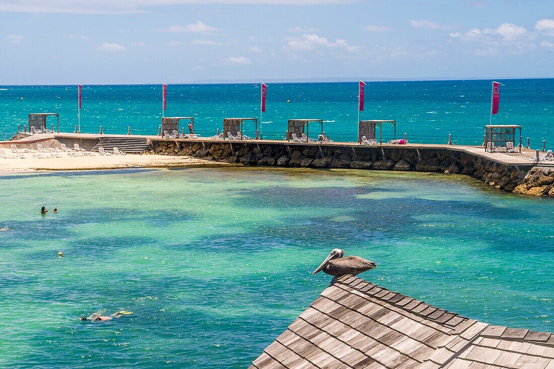 France, Caribbean, Lesser Antilles, Guadeloupe, Grande-Terre, Le Gosier, Hotel Creole Beach, view on the beach and the lagoon\n