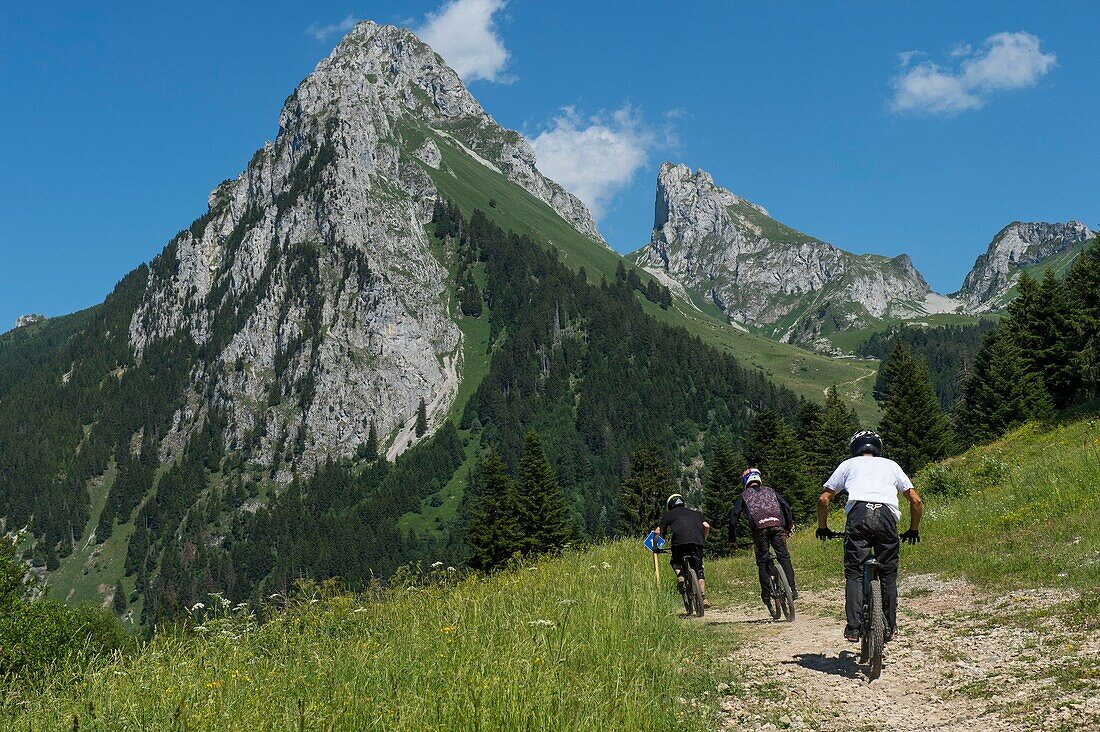 France, Haute Savoie, massif of Chablais, Bernex, Downhill mountain bike trail at the top of the telesiege of Pre Richard with Ocher tooth and Oche\n