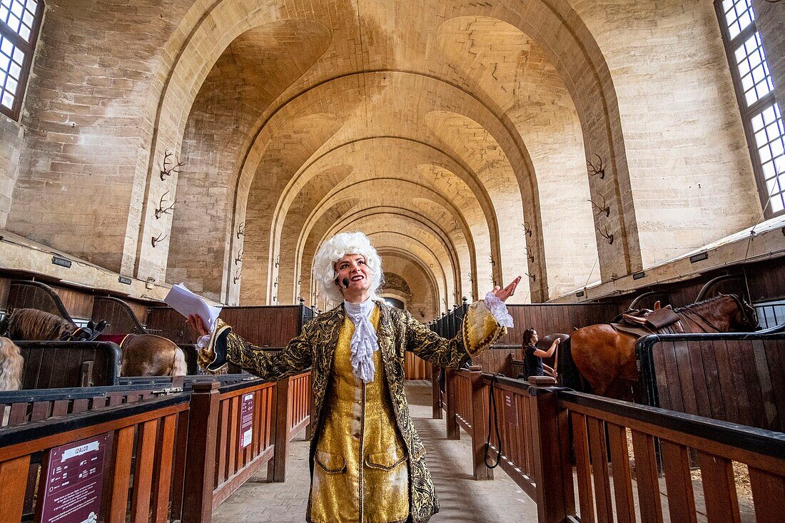 Frankreich, Oise, Chantilly, Schloss Chantilly, Großer Marstall, Ausstellung zum dreihundertsten Geburtstag: Es war einmal... der Große Stall, eine Reiterin wiederholt die Show