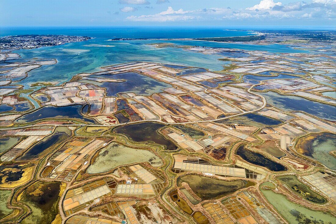 France, Loire Atlantique, Guerande, salt marshes (aerial view)\n