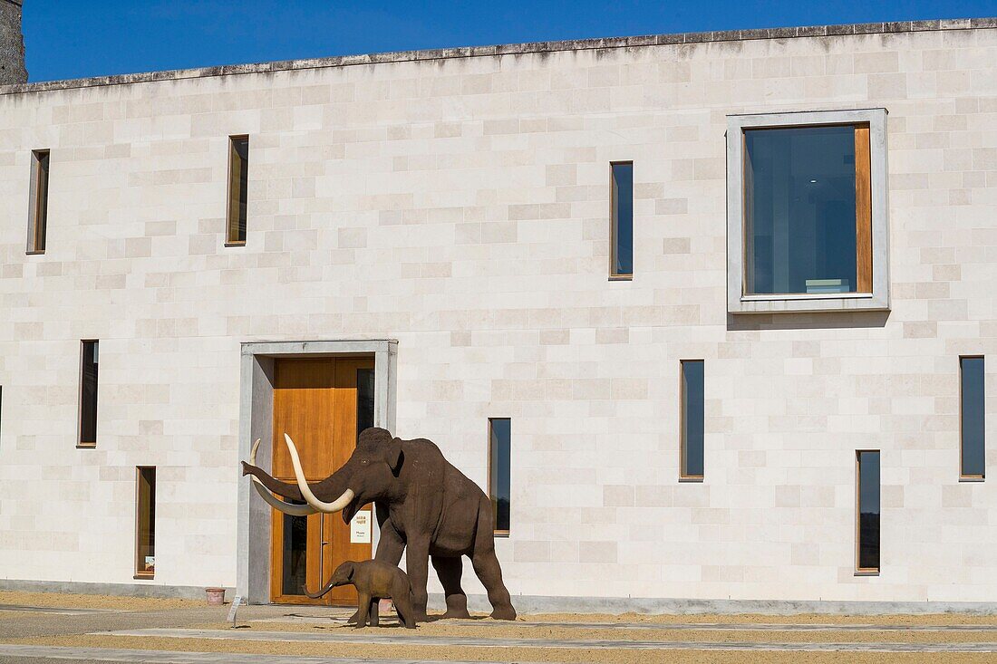 France, Indre et Loire, Le Grand Pressigny, Grand Pressigny castle, Museum of the Prehistory of Grand Pressigny\n