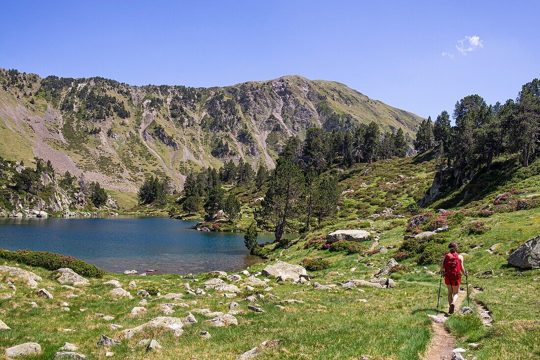 France, Hautes Pyrenees, lakes of Bastan, hiker along one of the lakes in the middle of Bastan, GR10 footpath\n