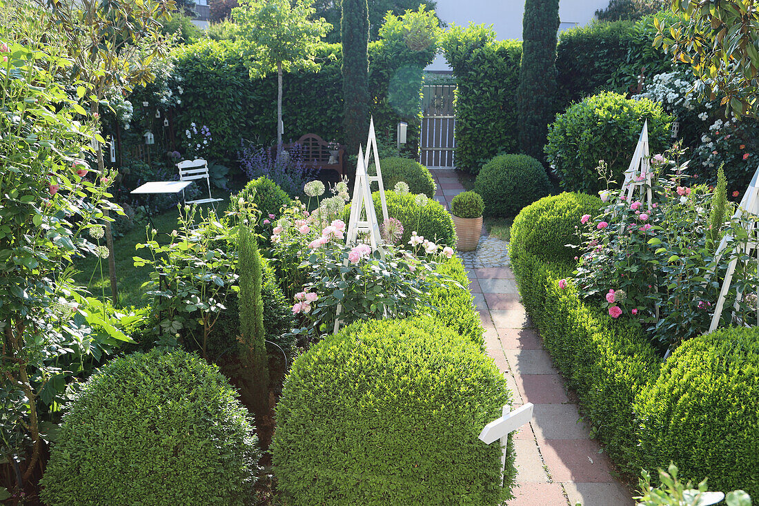 Vorgarten mit Rosen, Buchs und Rankhilfen