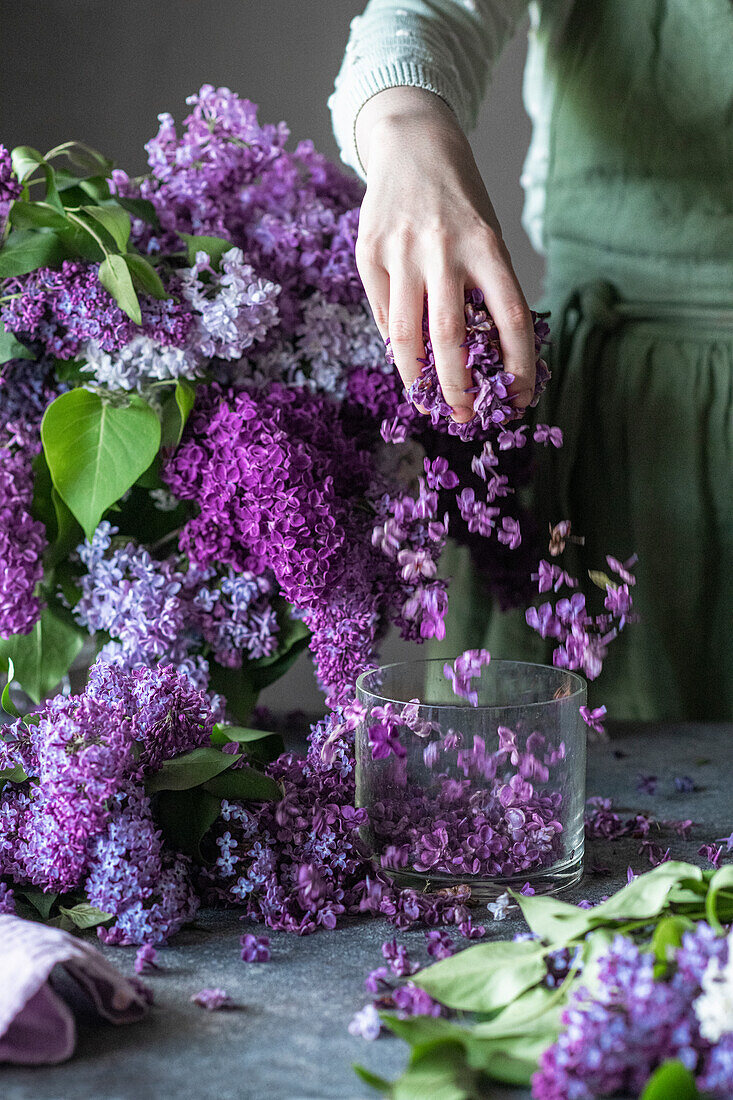 Lilac blossoms