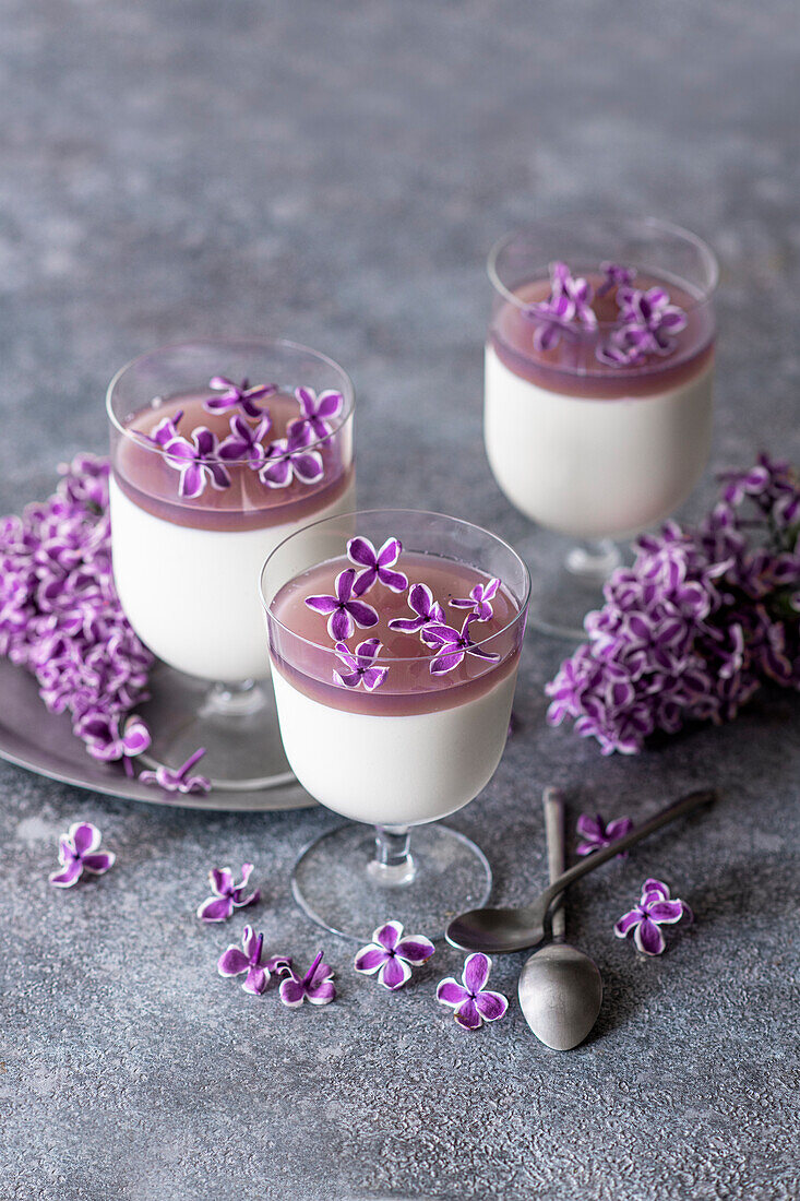 Lilac syrup panna cotta