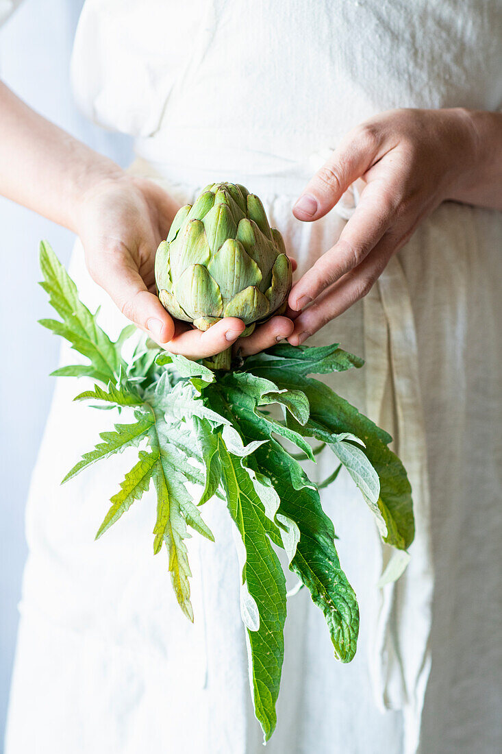 Artichoke in woman's hands