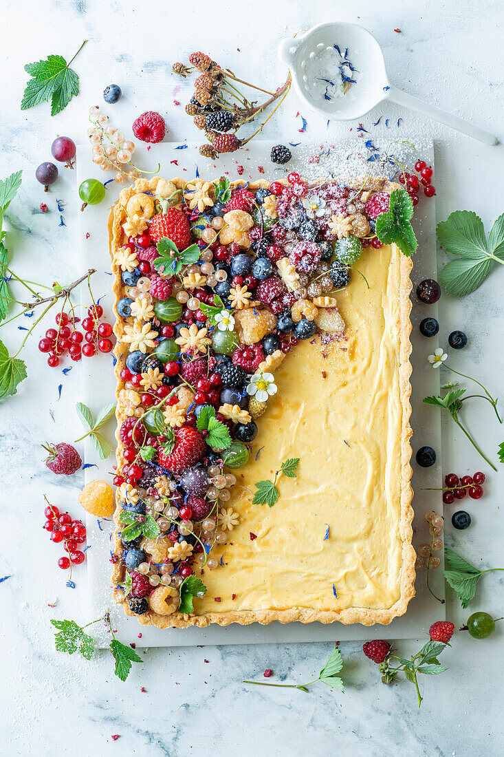 Vanille-Quark-Kuchen mit Sommerbeeren