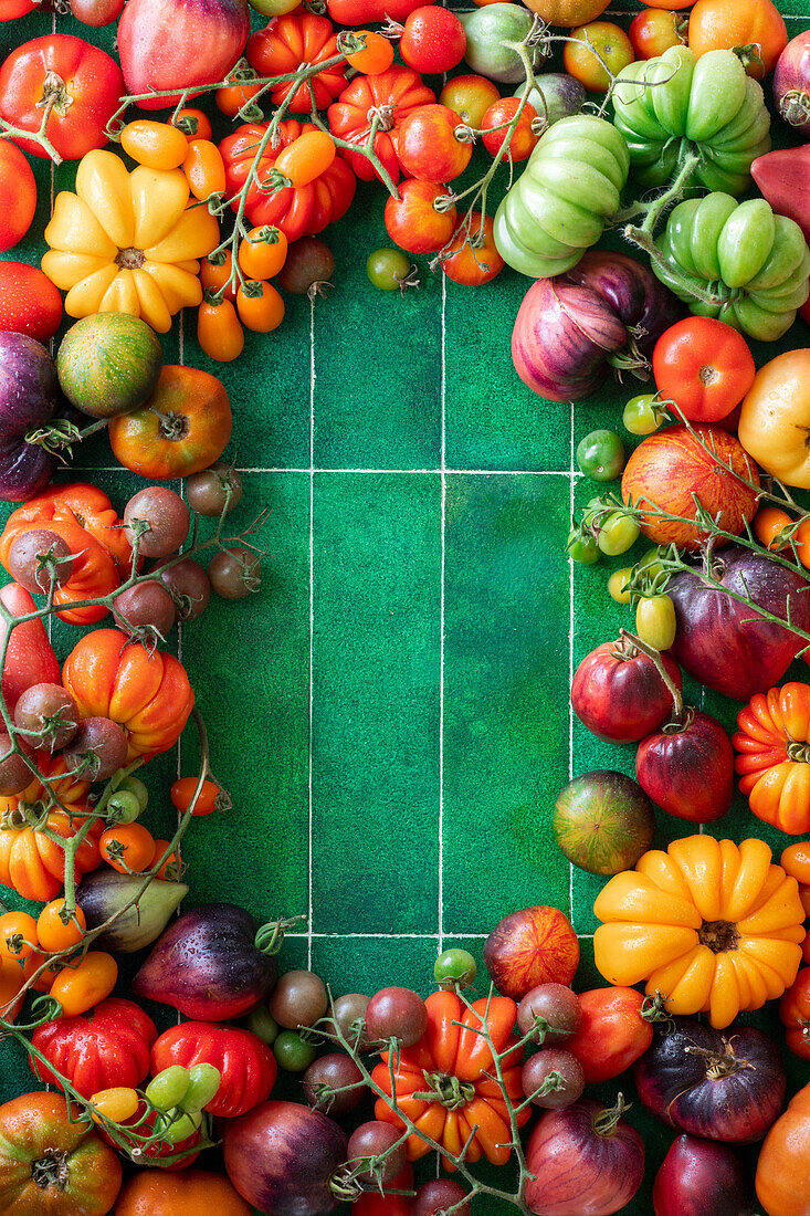 Frame with fresh tomatoes