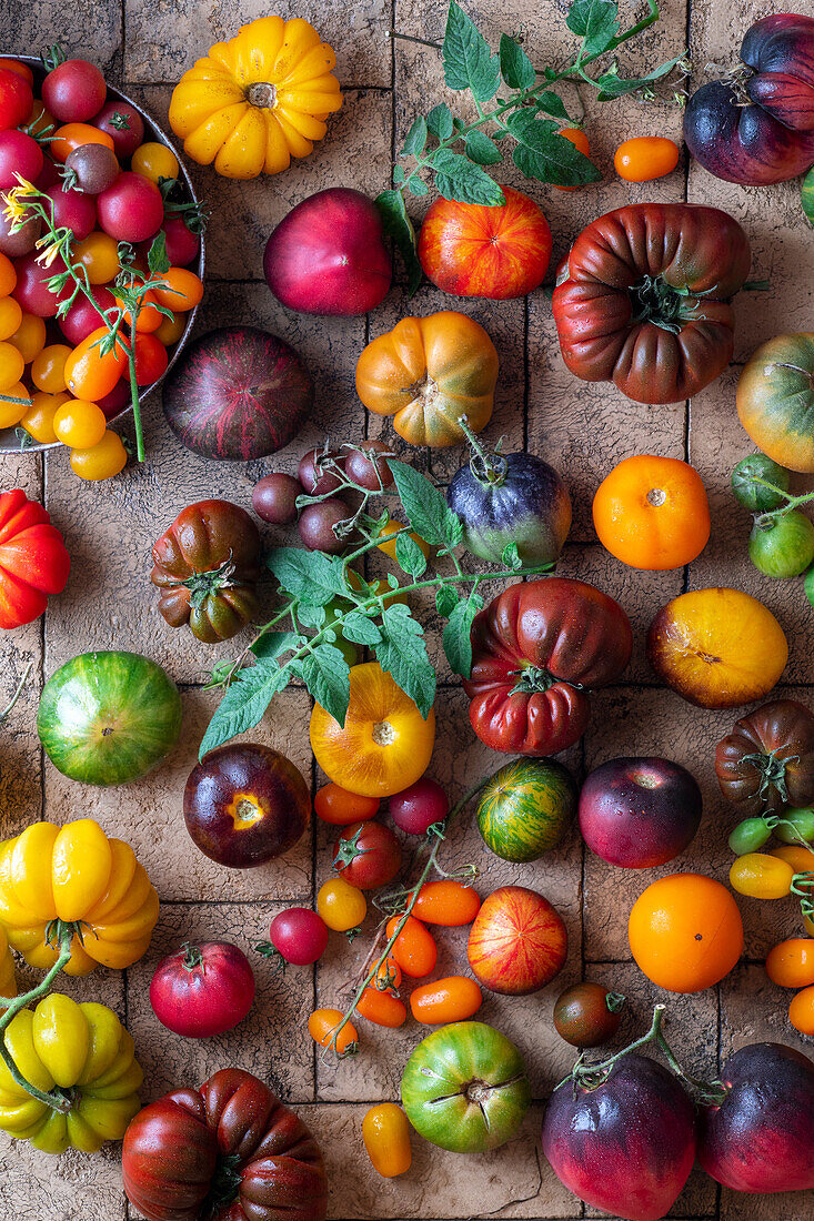 Verschiedene frische Tomaten