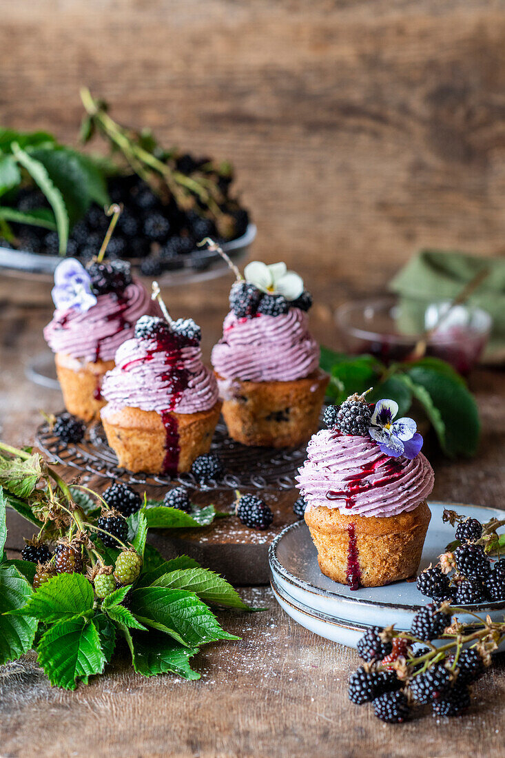 Brombeer-Cupcakes