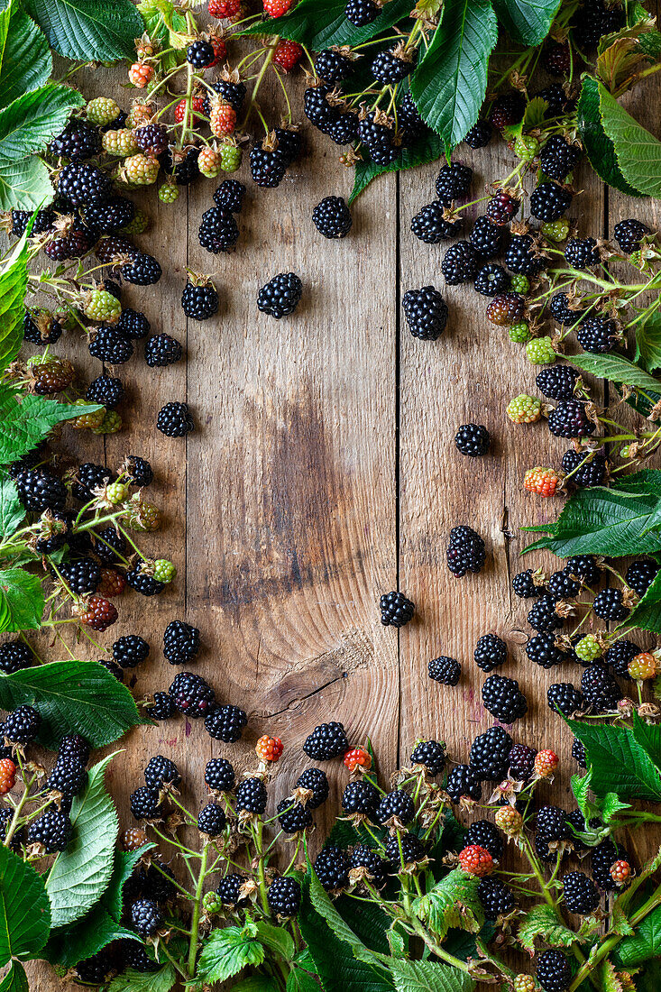 Blackberry in a frame