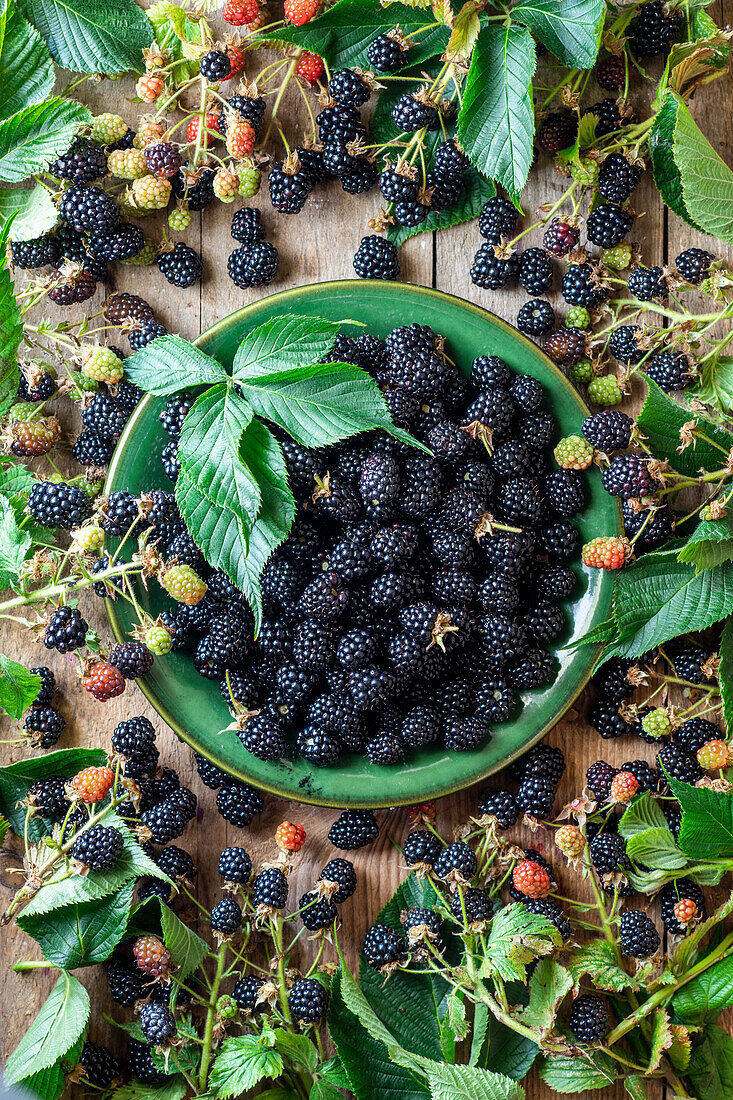 Fresh blackberries