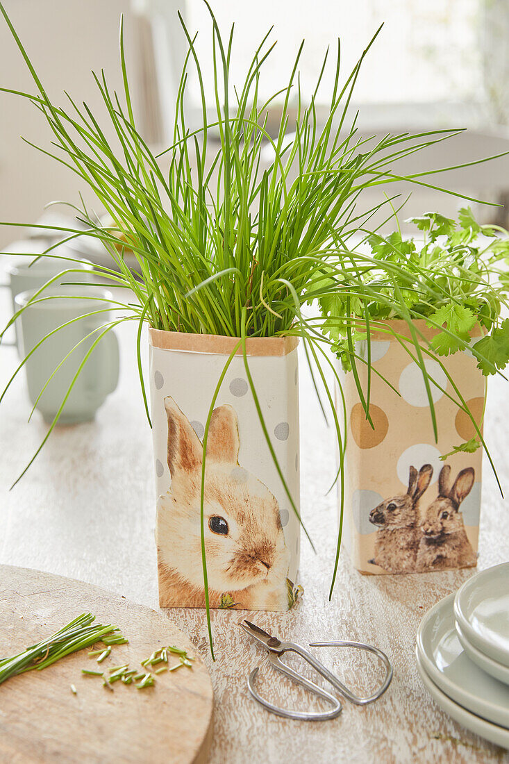 Herb pots with animal motifs with chives on a wooden table