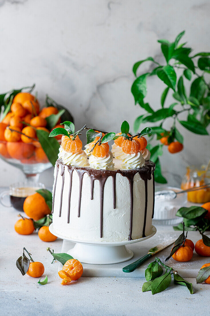 Clementinen-Buttercreme-Torte mit gebackener Käsekuchenschicht