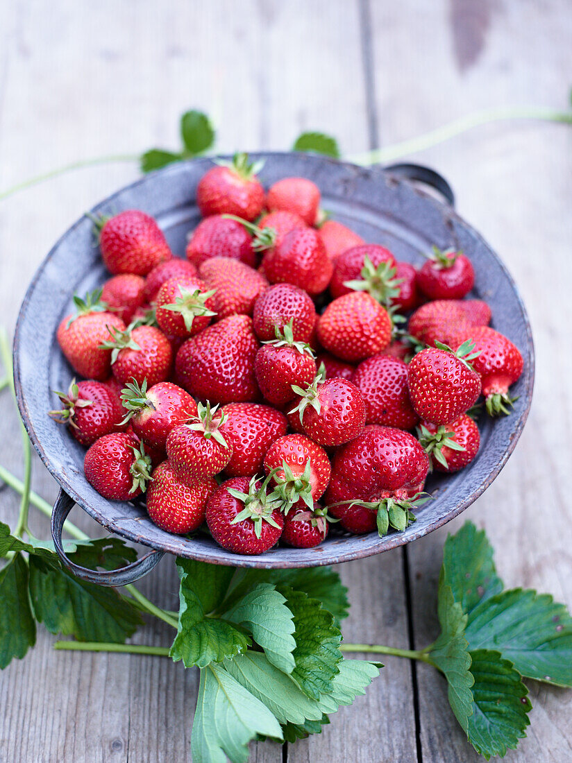 Erdbeeren in einer Schale