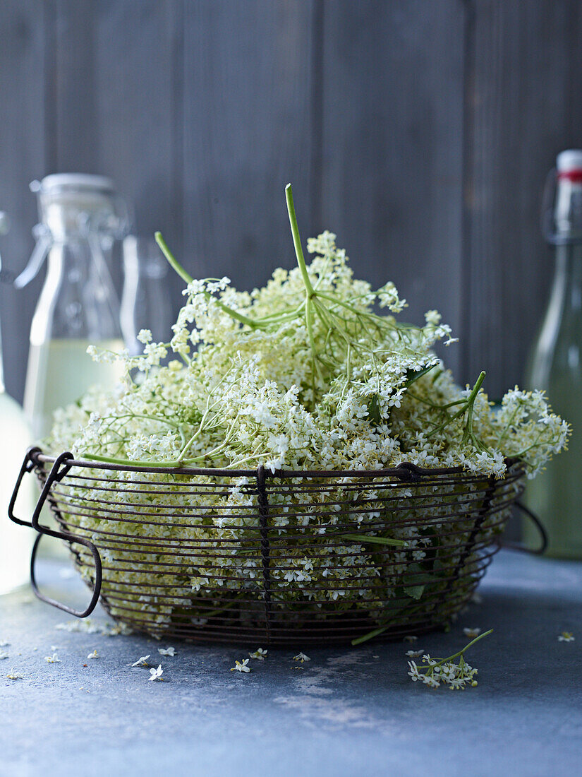 Elderflowers in a metal basket