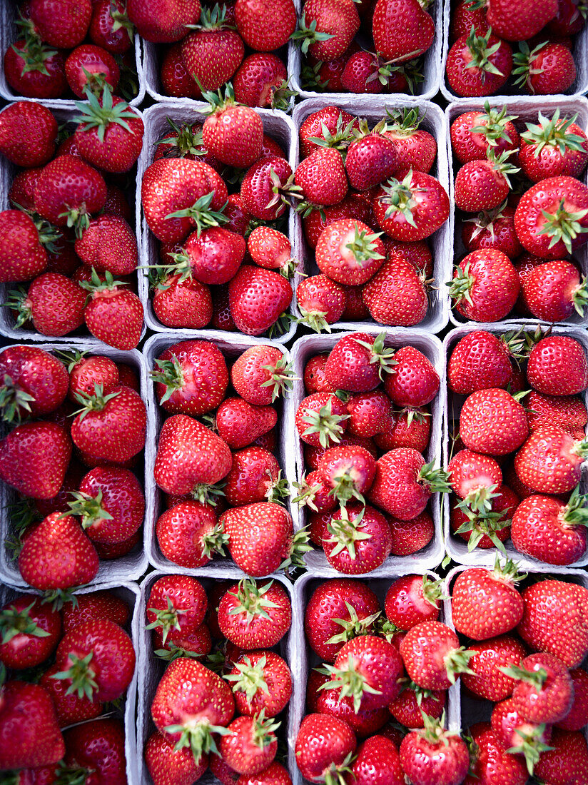 Erdbeeren in Pappschalen