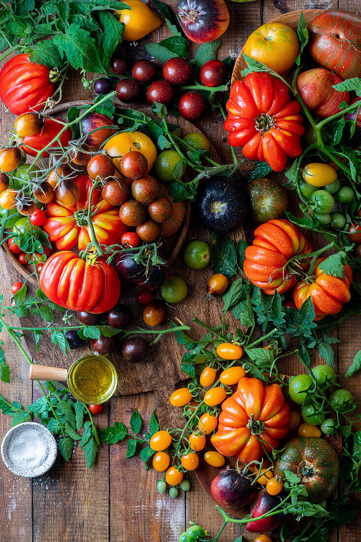 Frische bunte Tomaten