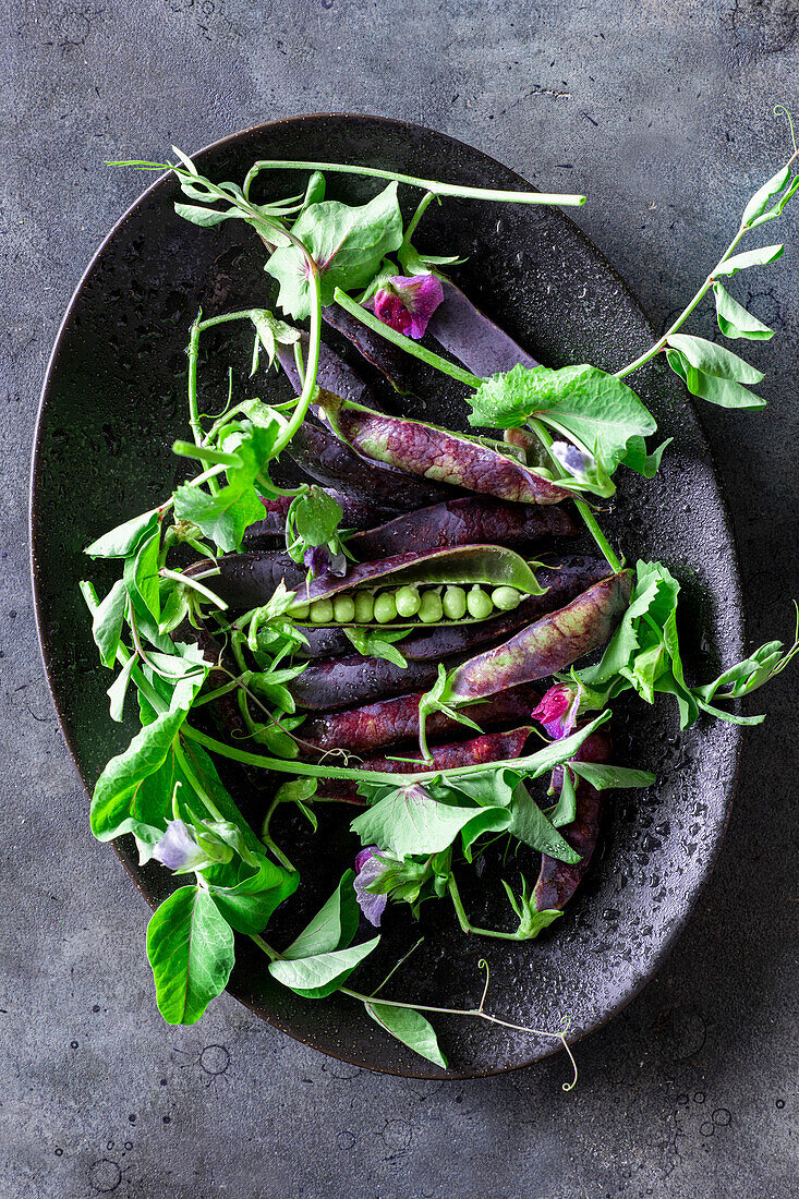 Purple pea pods