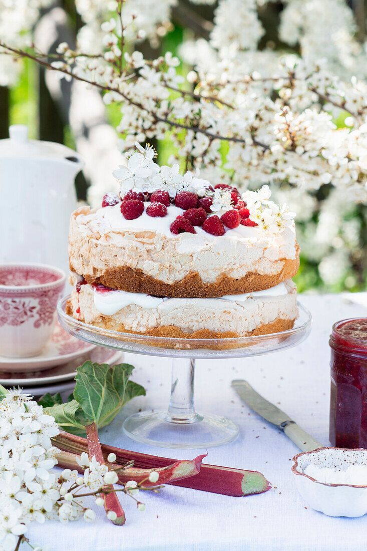 Himbeer-Rhabarber-Torte