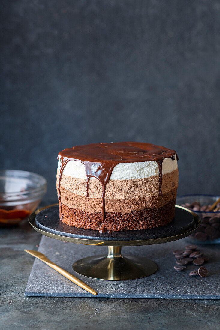 Dreischichtige Schokoladenmousse-Torte