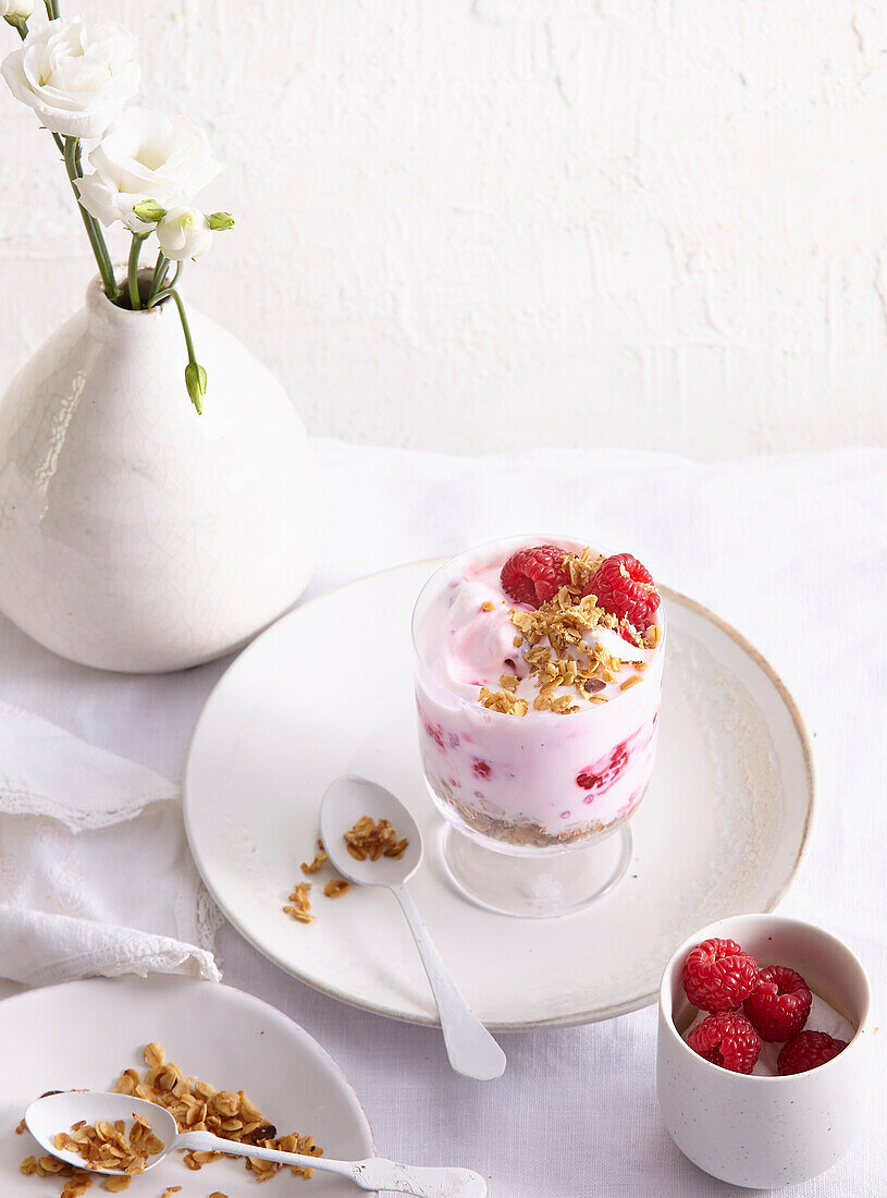 Raspberry yogurt with honey oats