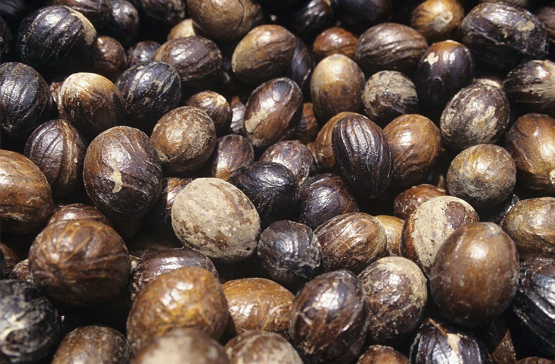 Several Nutmeg