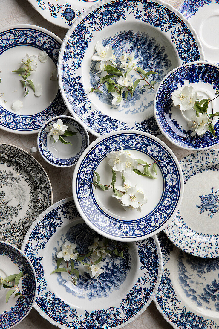 Jasminblüten auf blau-weißen Tellern