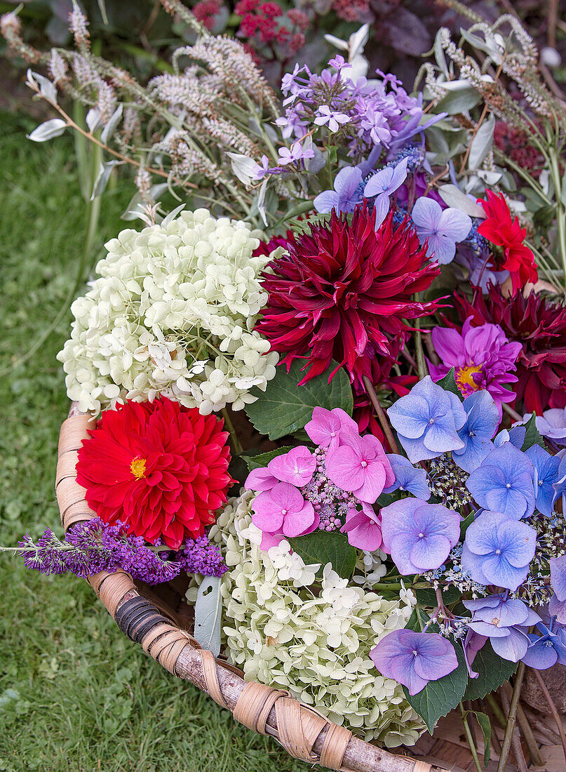 Blumenstrauß mit Dahlien, Hortensien (Hydrangea) und Sommerflieder