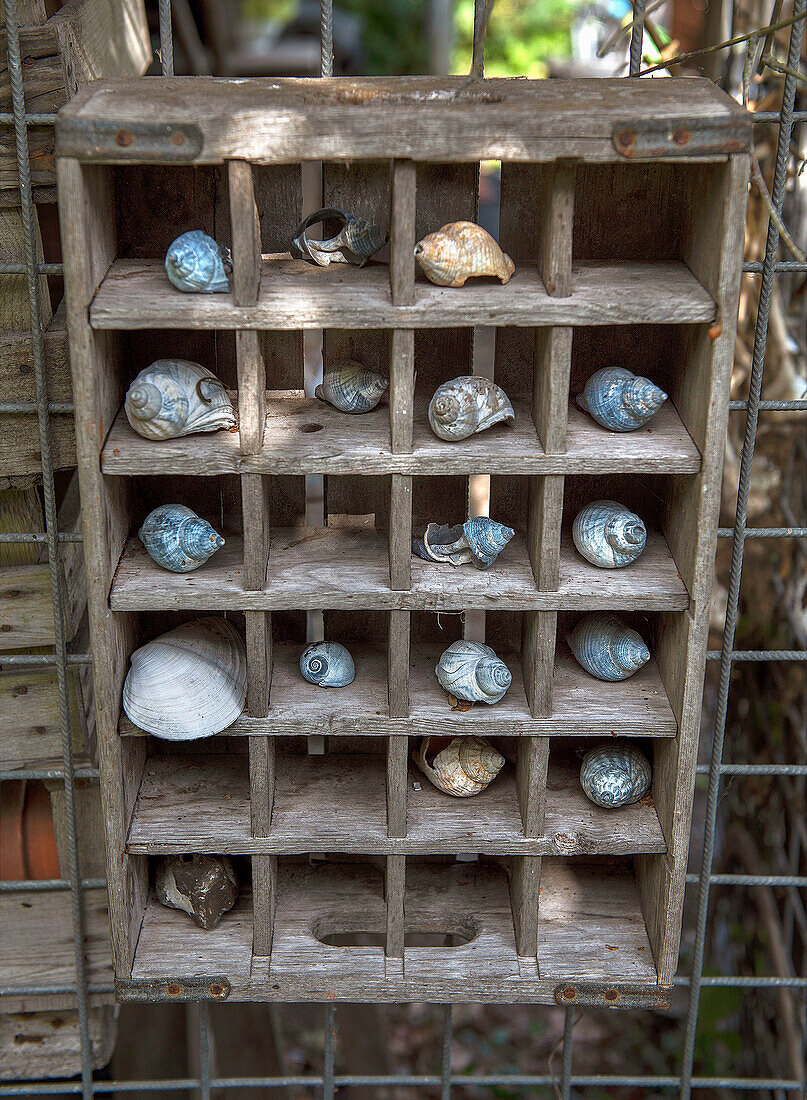 Holzkasten mit gesammelten Muscheln und Schneckenhäusern im Garten