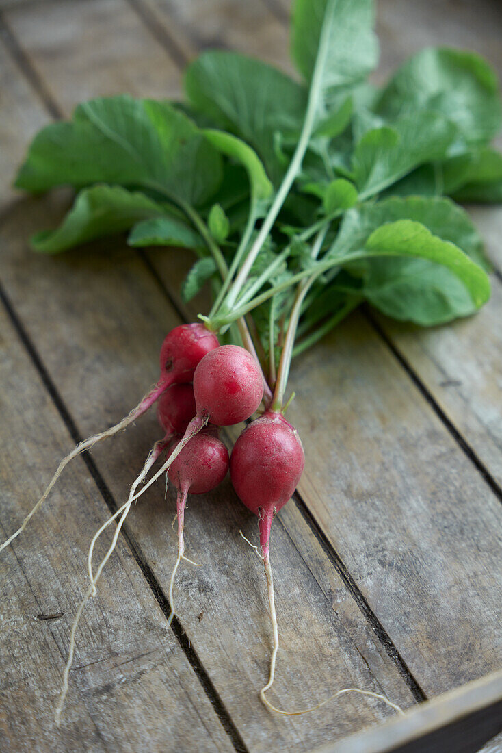 Radishes