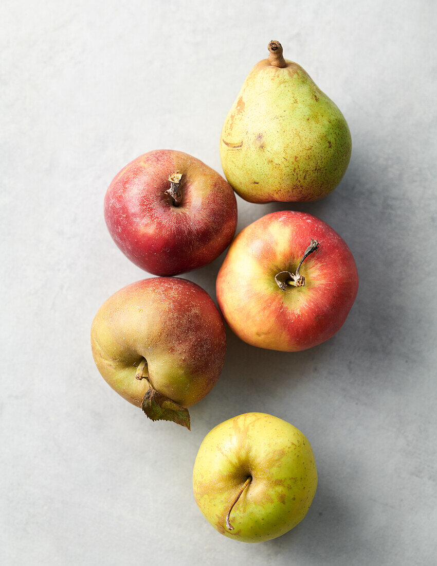 Äpfel und Birne