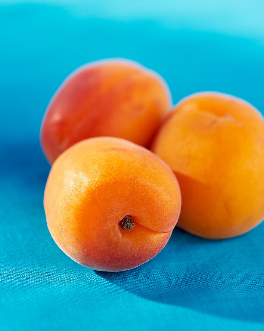 Apricots on a blue background