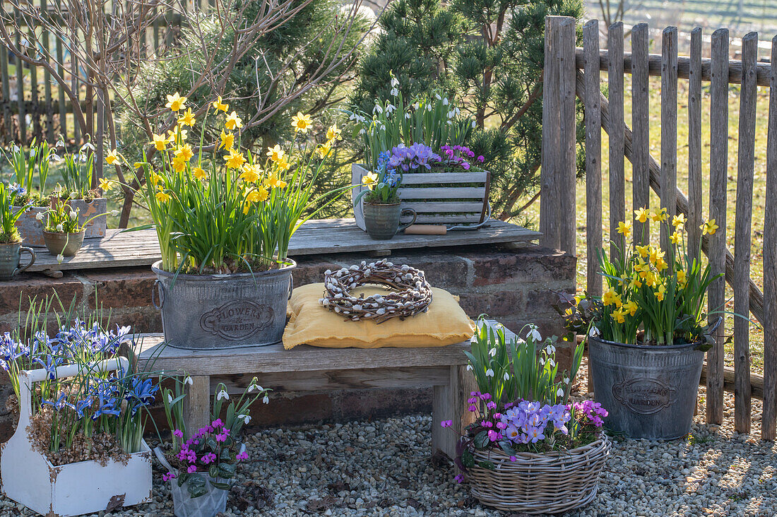 Daffodil; 'Tete a Tete'; and 'Tete a Tete Boucle'; pussy willow wreath; Crocus ; 'Vanguard'; Snowdrop; Iris reticulata; 'Clairette'; Spring Alpine Oak;