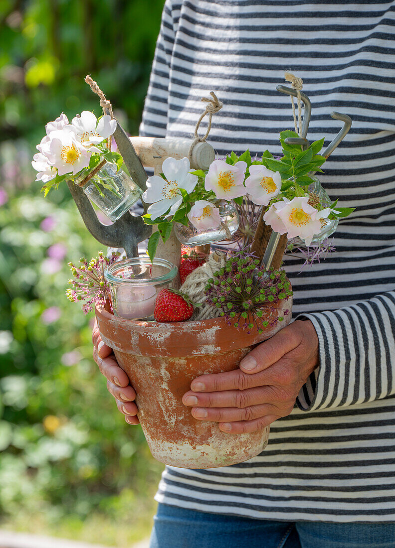 Wildrosenblüten (Rosa canina) oder 'Hundsrose', Blütendeko an Blumentopf mit Erdbeeren, Spaten und Schaufel als Geschenk