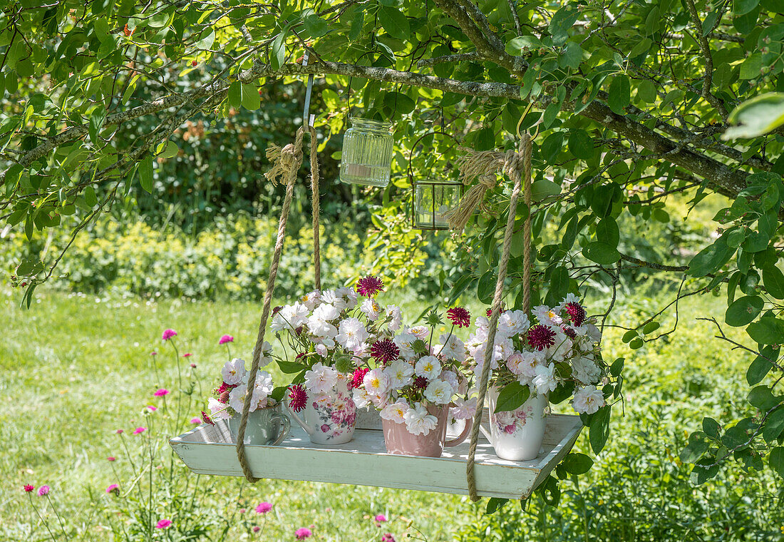 Kletterrose (Rambler) 'Pauls Himalayan Musk' und große Sterndolde (Astrantia major) als kleine Sträußchen auf Hängetablett