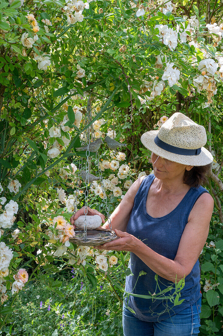 Frau beim Aufhängen einer Bienentränke, aufgießen und Stein als Landeplatz für Bienen, vor Kletterrose 'Ghislaine de Feligonde'