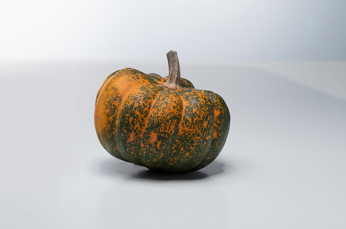 Orangita F1 (pumpkin variety from Spain)