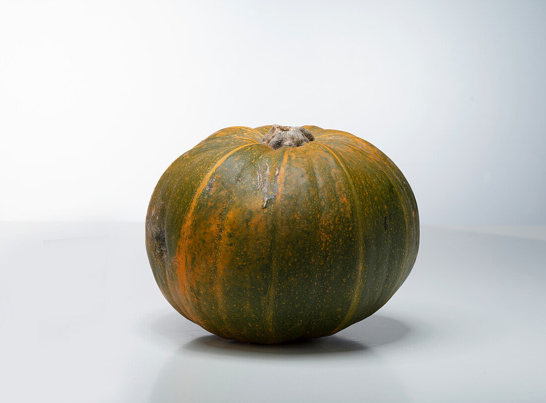 Paint Me F1 (pumpkin variety from Australia)