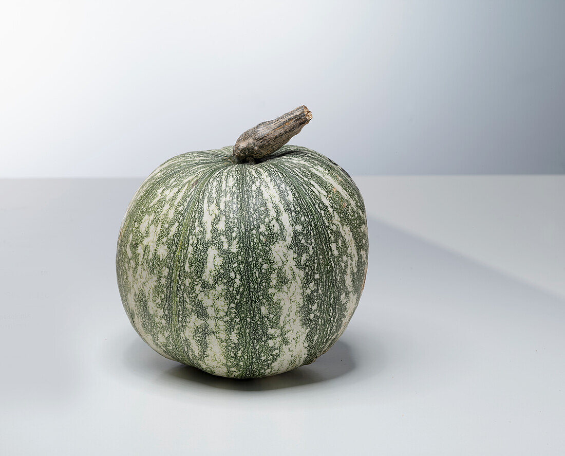 Pepita Silveredge (pumpkin variety from France)