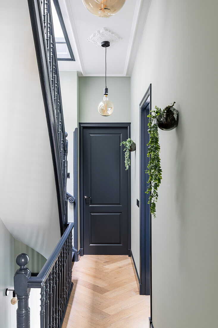 Narrow hallway with black door, plant wall decoration and hanging lamp