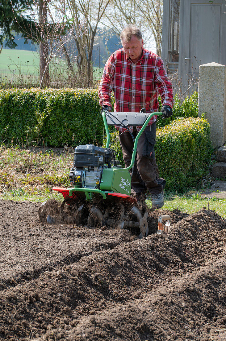 Soil preparation with hand tiller for potatoes