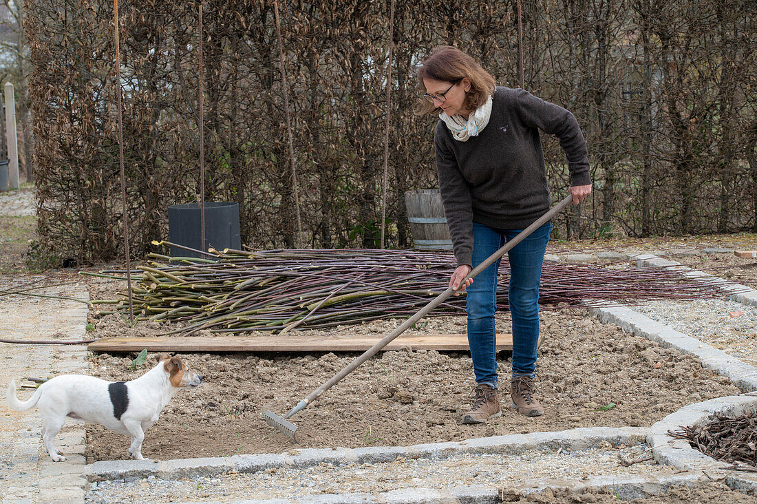 Frau bei Anlage eines Gemüsebeets mit Holzbrettern und Weidenzweigen als Rankhilfe für Kletterpflanzen, und Hund