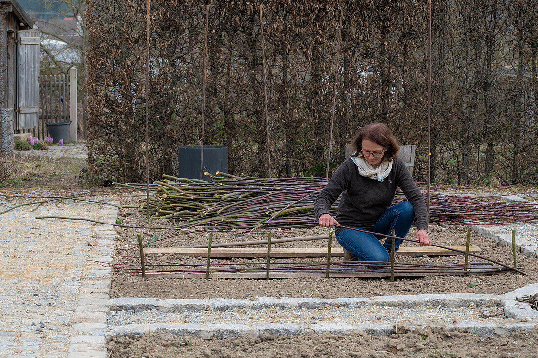 Creating a vegetable bed with a wicker wall for climbing plants